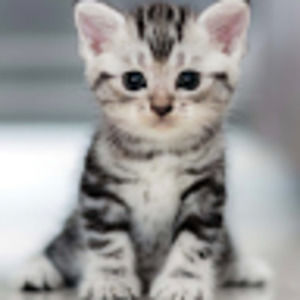 Meet your Posher, Chloe